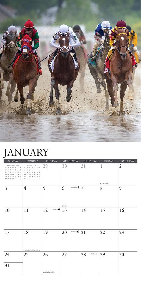 Saratoga Entries Calendar